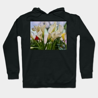 Calla flowers blooming Hoodie